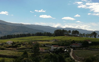 Panorámica del Condado de Tea