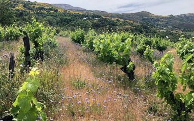 En el valle del río Casoio