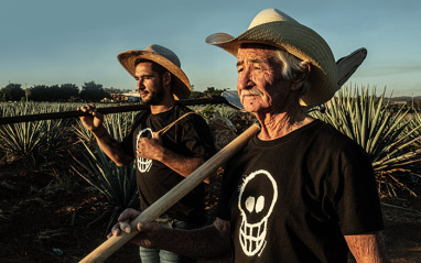 Jimadores de Padre Azul