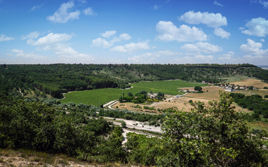 Pago de la Oliva