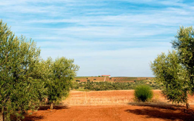 Paisaje típico del Alentejo en plena Extremadura