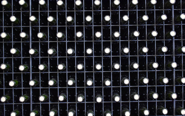 Botellas en jaulones