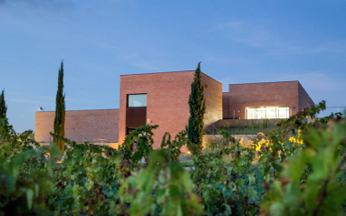 Exterior de la bodega y su viñedo