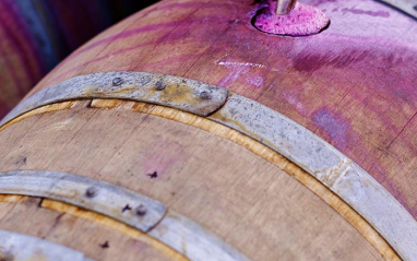 Detalle de los trabajos en bodega