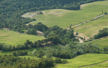 Hermoso paisaje en Gigondas