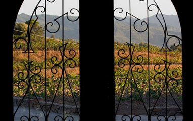 Vista de las viñas desde el interior de la bodega