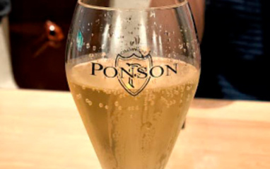 Copa de Champagne Ponson