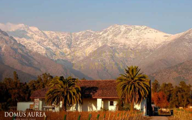 La bodega al pie de Los Andes