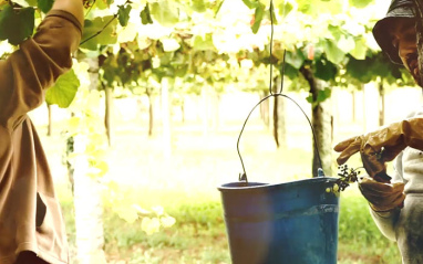 Una Albariño excepcional