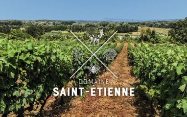 Viñedos pertenecientes al Domaine Saint-Etienne