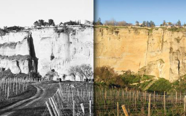 El mismo viñedo antes y después
