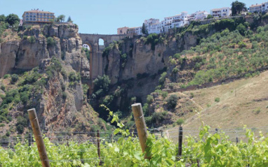 Puente de Ronda