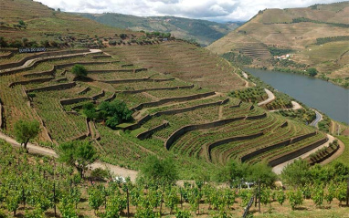 Quinta do Seixo, viñedos de Ribeira do Douro