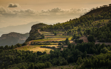 Paisaje Priorat