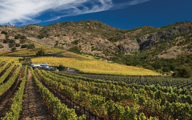 Los viñedos californianos de Shafer vineyards.