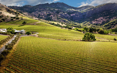 Shafer posee algunos de los viñedos más sobrecogedores de California.