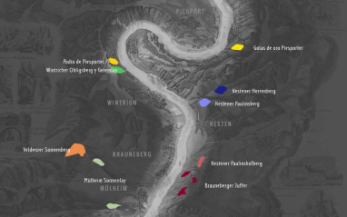 Localización de las viñas de Steinmetz