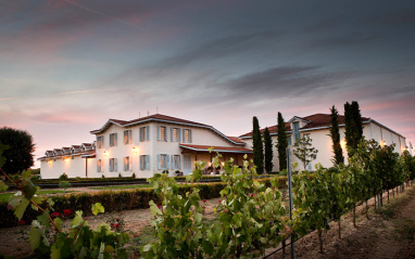 Panorámica de la bodega