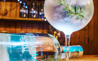 Botella de Tepaluma junto a un gin-tonic