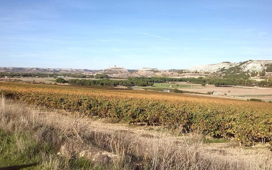 Entorno de Bodegas Tionio