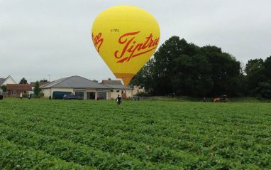 Vistas de los cultivos de la granja Tiptree