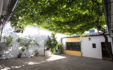 Patio interior jerezano