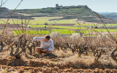 Viñedos de TresPiedras