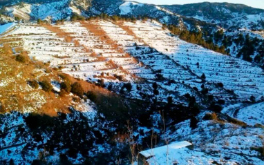 Invierno en el Priorat