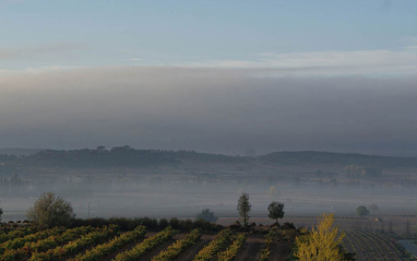 Entorno con niebla