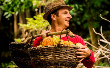 Buscando el mejor cacao donde quiera que esté