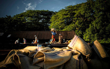 La gran mayoría del cacao proviene de pequeñas plantaciones familiares