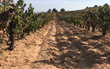 Detalle de los suelos