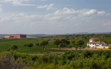 Paisaje almanseño