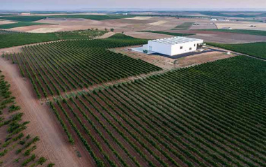 Imagen aérea de la bodega en La Seca