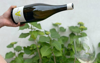 El monovarietal de Garnacha blanca homónimo de la casa