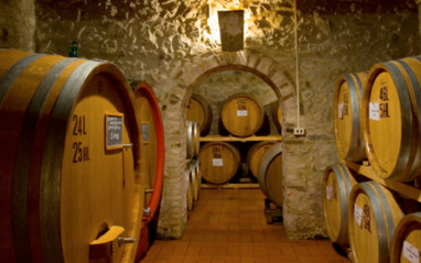 Sala de barricas de la bodega.
