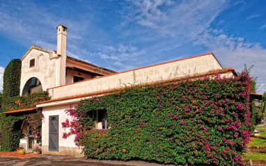 Fachada de bodega