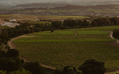 Finca situada junto a un meando