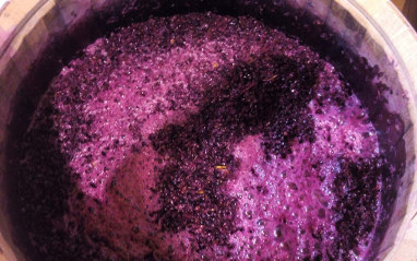 Vinificación Vinificación