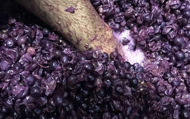 Detalle elaboración Detalle elaboración