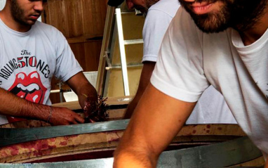 Xabi y los Michelini Xabi y los Michelini