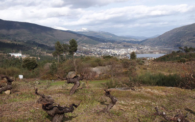 Panorámica de Valdeorras