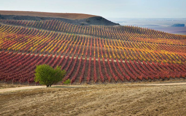 Caserío de Dueñas en otoño