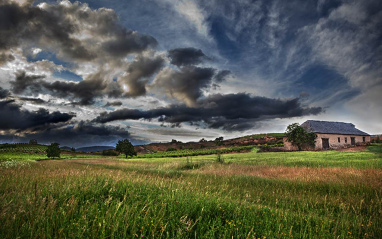 Vista de una de las fincas