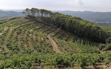 Camí de les Aubagues