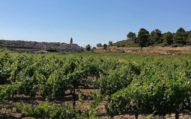 La Vall de Vinyes