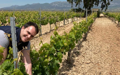 Las uvas del un viñedo centenario dan vida a este vino.