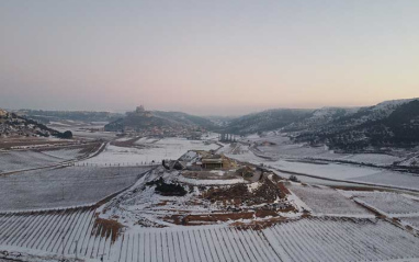 Viñedo de Vivaltus en invierno