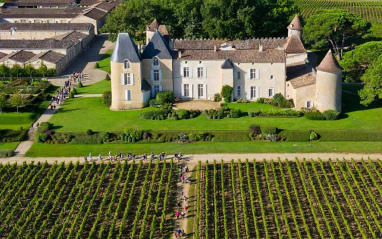 Panorámica de Château d'Yquem  