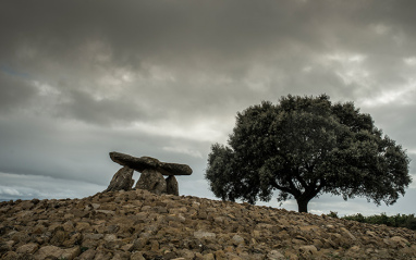 Imagen del entorno de la bodega